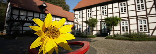 Der Abschluss
